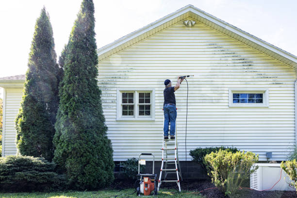 Best Solar Panel Cleaning  in Hallandale Beach, FL