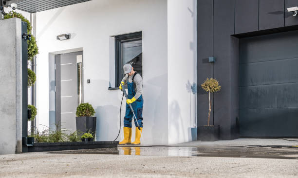 Animal Enclosure Cleaning in Hallandale Beach, FL